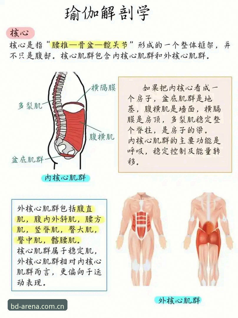 半岛体育官网入口 3大核心优势解析:为何半岛体育官网入口成为体育迷首选平台