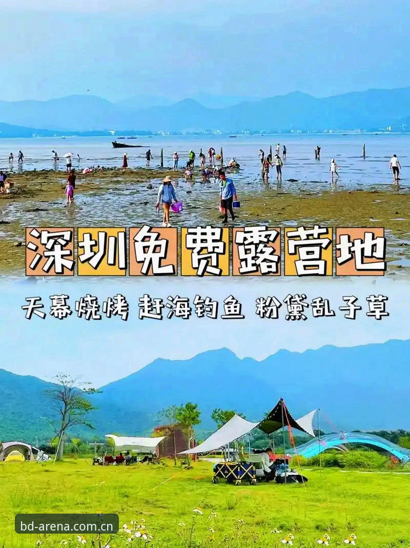 半岛体育官方服务哪个好 半岛体育官网入口使用教程:从官方App下载到畅玩全流程